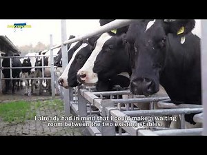 MobiStar Swing flexible Dairymaster milking parlour - De Lange The Netherlands