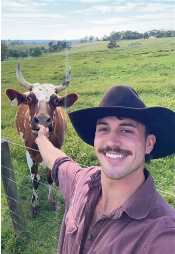 Exploring Farm Life with Cows in Australia