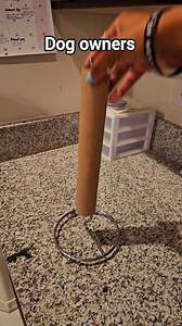 1.6M views · 10K reactions | Bonk 便 #dog #doglovers #goldenretriever #dogvideos #goldenlovers #doggo #friends #doglover #doglovers #doglife #goldenretrievervideos | Sammy The Golden Retriever | Facebook