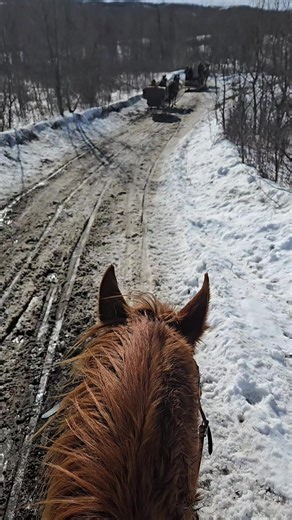 Harry Bear (@harrybear02)’s videos with It Don't Get Any Better Than This - George Jones