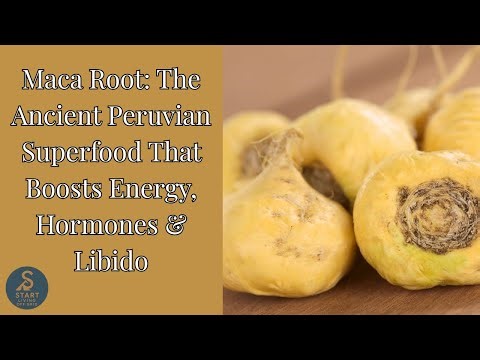 🌿 Maca Root: The Ancient Peruvian Superfood That Boosts Energy, Hormones & Libido 💪