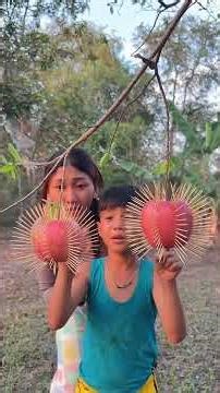 Survival Skills: SIMPLE and USEFUL ✅👍 4 #survival #bushcraft #skills #outdoors #useful #ideas