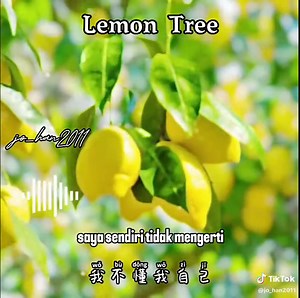Lemon Tree 蘇慧倫 - 中文版精彩呈現