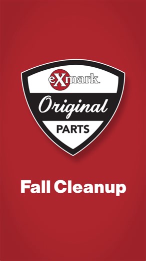 3.3K views · 54 reactions | As the leaves start to fall, keeping your...