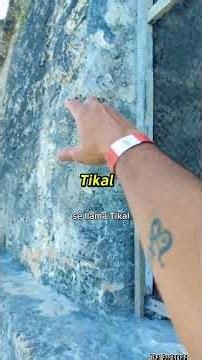 the biggest pyramid in Guatemala Tikal #tikal #guatemala