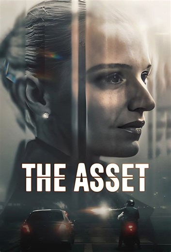 The Asset on Netflix