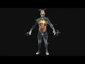 Function of Human Brain