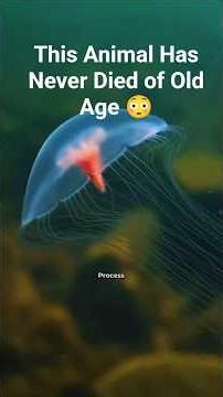 This Animal Has Never Died of Old Age 😳