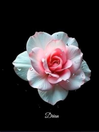 Double Take Lyrics Explained: Meaning and Themes