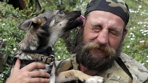 76K views · 89 reactions | Why Dogs Lick Our Faces And Other Dog Facts | Grunge.com | Facebook