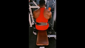 Effective Back Exercises in the Gym: Strength Training Tips