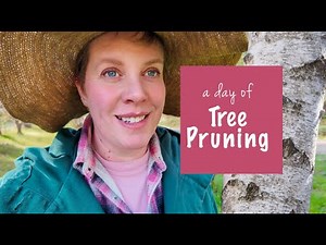 Pruning Fruit and Deciduous Trees Before Summer - Easy Lawn Mowing