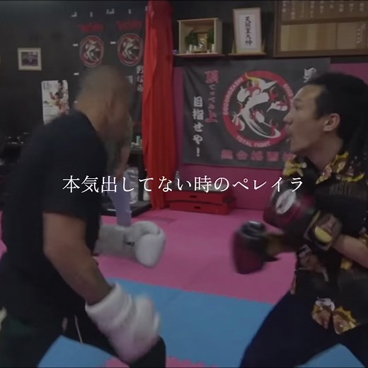 ペレイラUFC王者の栄光と冒険
