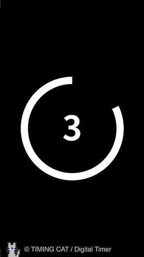 3 Seconds Circle Timer（Vertical）