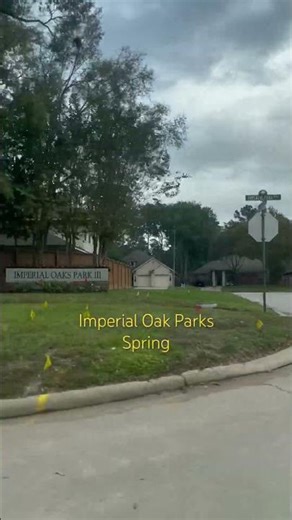 Woodlands # Texas# trees # Nature