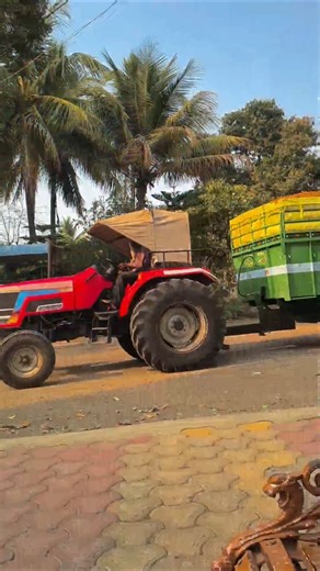 turmeric (haldi) processing start