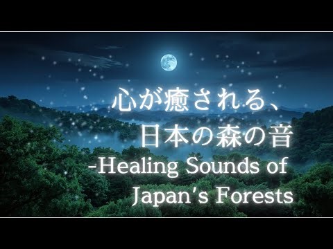 【自然音】心が癒される、日本の森の音-Healing Sounds of Japan’s Forests