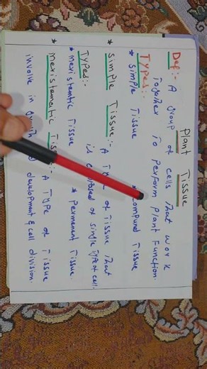 Plant Tissue | Biology Short Lecture