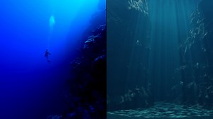 Aliens could be 'walking among us' in secret bases on Earth, Harvard scientists suggest