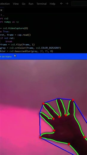Python detección de mano humana