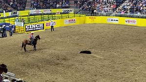 Cole Walker had his fastest time of the rodeo tying his calf in 8.0. He finished 3rd in short go and 5th in the nation. Congratulations Cole! | University of Tennessee- Martin Rodeo Team