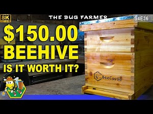 Bee Castle Beehive Kit | Become a beekeeper for $150.00 #beekeeping #bees