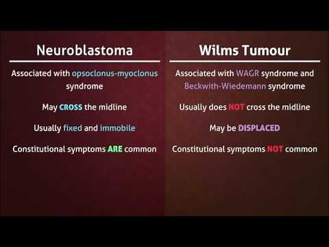 Neuroblastoma vs. Wilms Tumour