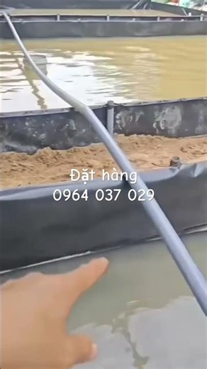 Bể bạt HDPE giải pháp ưu việt cho chăn nuôi thủy sản