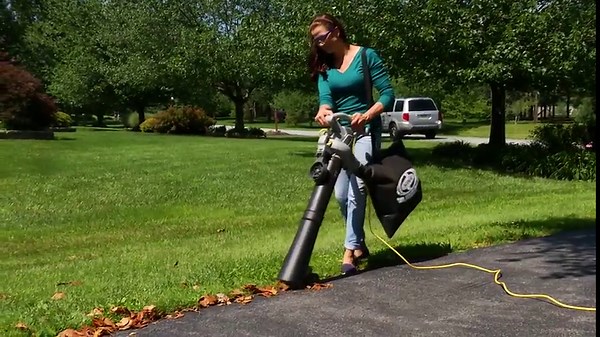 Sun Joe SBJ606E-GA-SJB 4-in-1 Electric Blower, Blue