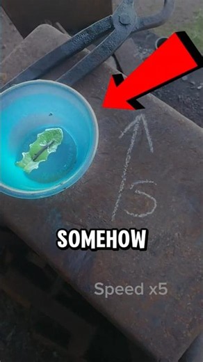 This Science Trick Actually Worked 🤯
