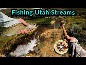 Creek Fishing Utah | Fly Fishing 3 Small Streams For Cutthroats, Rainbows, browns And Tiger Trout!