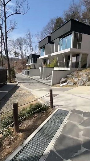 3월에 꼭 가야 할 곳🌸 논산 양촌자연휴양림 봄 시작