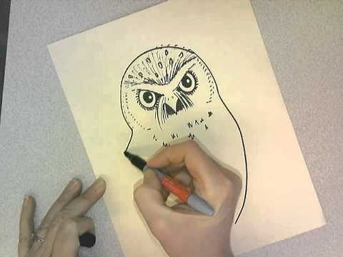 How to draw a Burrowing owl Jennah Fox