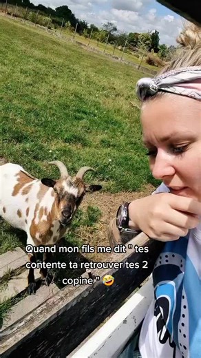 Friendly Goat Interaction in a Rural Setting