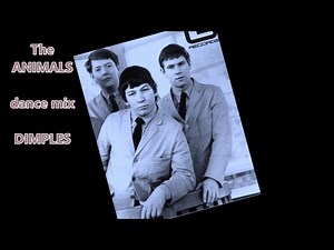 The Animals DANCE mix DIMPLES