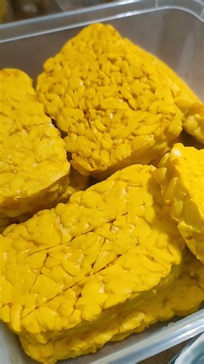 RESEP SIMPEL TEMPE UNGKEP PECEL LELE
