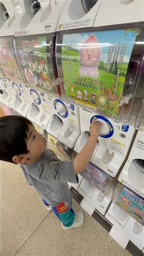 【こびとづかん】こびとづかんおすわりマスコットガチャガチャ再入荷してたのでやってみたよ♪