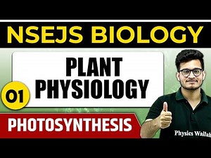 PLANT PHYSIOLOGY 01 : Photosynthesis | Important Concept NSEJS Bio | Olympiad Wallah