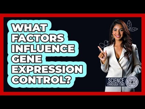 What Factors Influence Gene Expression Control?
