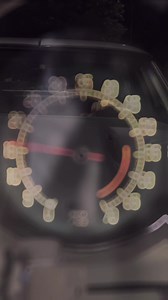 77 C3 Edit😎 #3 #corvette #carsofinstagram #cars #trucks #chevy #racecar #chevy #NASCAR | My Mobile Mechanic / Auto Repair & Brake Replacement.