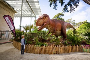 INVADED BY DINOS—HOORAY! Step into our East Garden & 66 million years into the past for "Dino Days," a festival of moving, roaring, life-sized dinos (& so much more)! Only through May 5, rawrry. | California Academy of Sciences