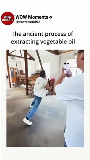 The ancient process of extracting vegetable oil