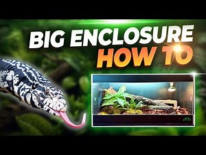 Upgrading My Tegu's Enclosure for CHEAP!