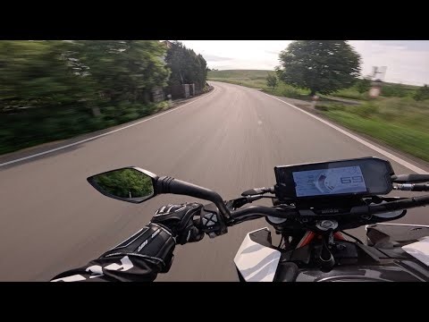 Stunning Czech Nature Roads 🌿 KTM Duke 390 RAW POV Ride