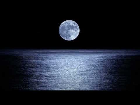 DANCING IN THE MOONLIGHT