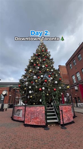 Sai Balaji | Food, Lifestyle & Travel on Instagram: "Day 2 of my GO Train day-trip series 🚞✨ Today’s stop is downtown Toronto for some festive fun right around Union Station. From here, you’re steps away from iconic holiday markets, pop-ups at The Well, free skating at Nathan Phillips Square, and more seasonal spots across the city! 🎄⛸️ And a quick safety reminder: You can always discreetly text “HELP” to 77777 if you ever feel unsafe on board! When you arrive at Union Station, be aware of you