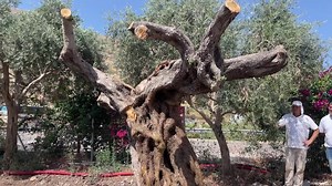 20K views · 2K reactions | Magdala en Español on Reels | Facebook