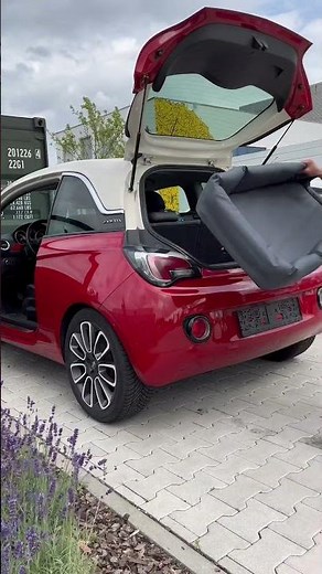 Croozer Dog: Kompakt und Bereit für Unterwegs 🐶⚙️ #croozer #doglovers #dog