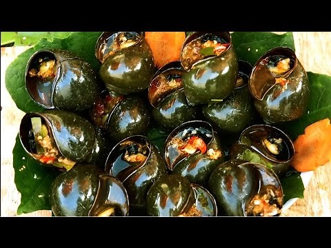 Snails cooking, Steamed snails with sweet chili sauce from rural people in Cambodia