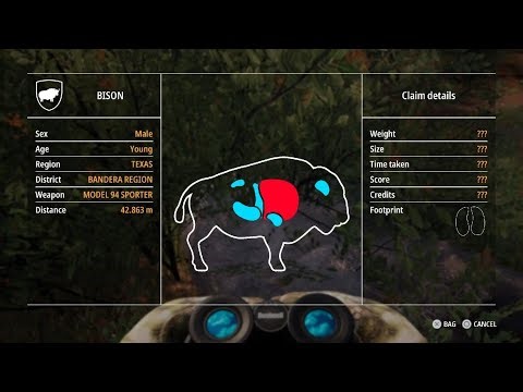 Hunting Simulator 2, bison stalk and close kill